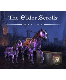 The Elder Scrolls Online - Noweyr Pack DLC Xbox Series X|S Xbox Series X|S Key GLOBAL